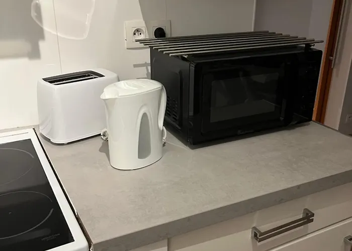 Duplex A La Frontiere De Monaco דירה *